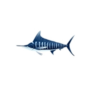 Striped Marlin